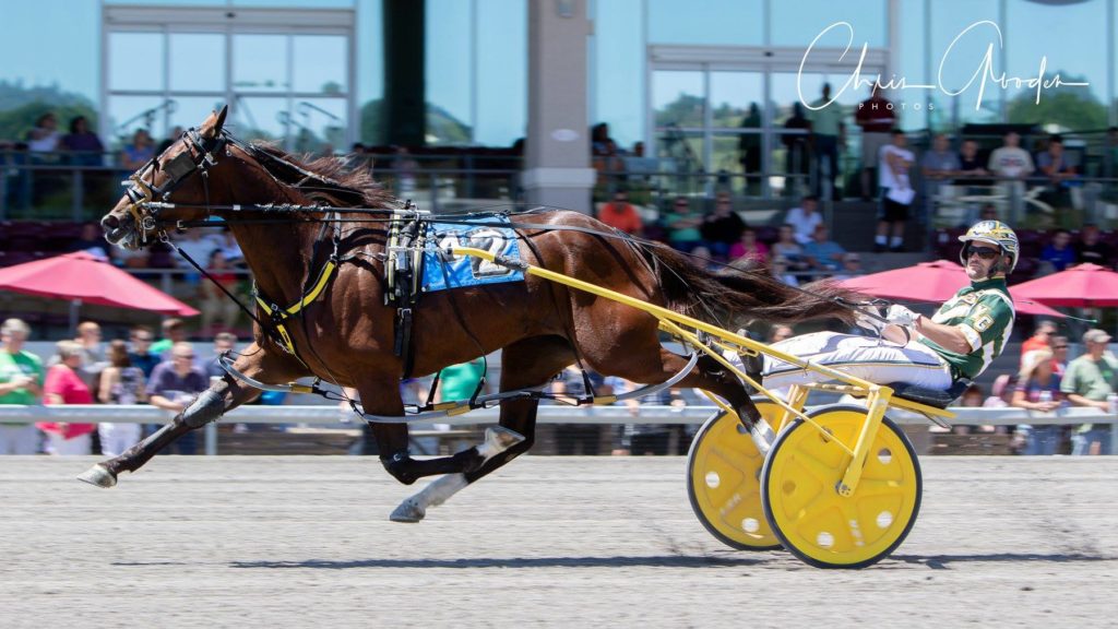 Photo of Warrawee Ubeaut racing at the Meadows.